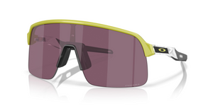 946337 - Cactus with Prizm Road Black Lenses