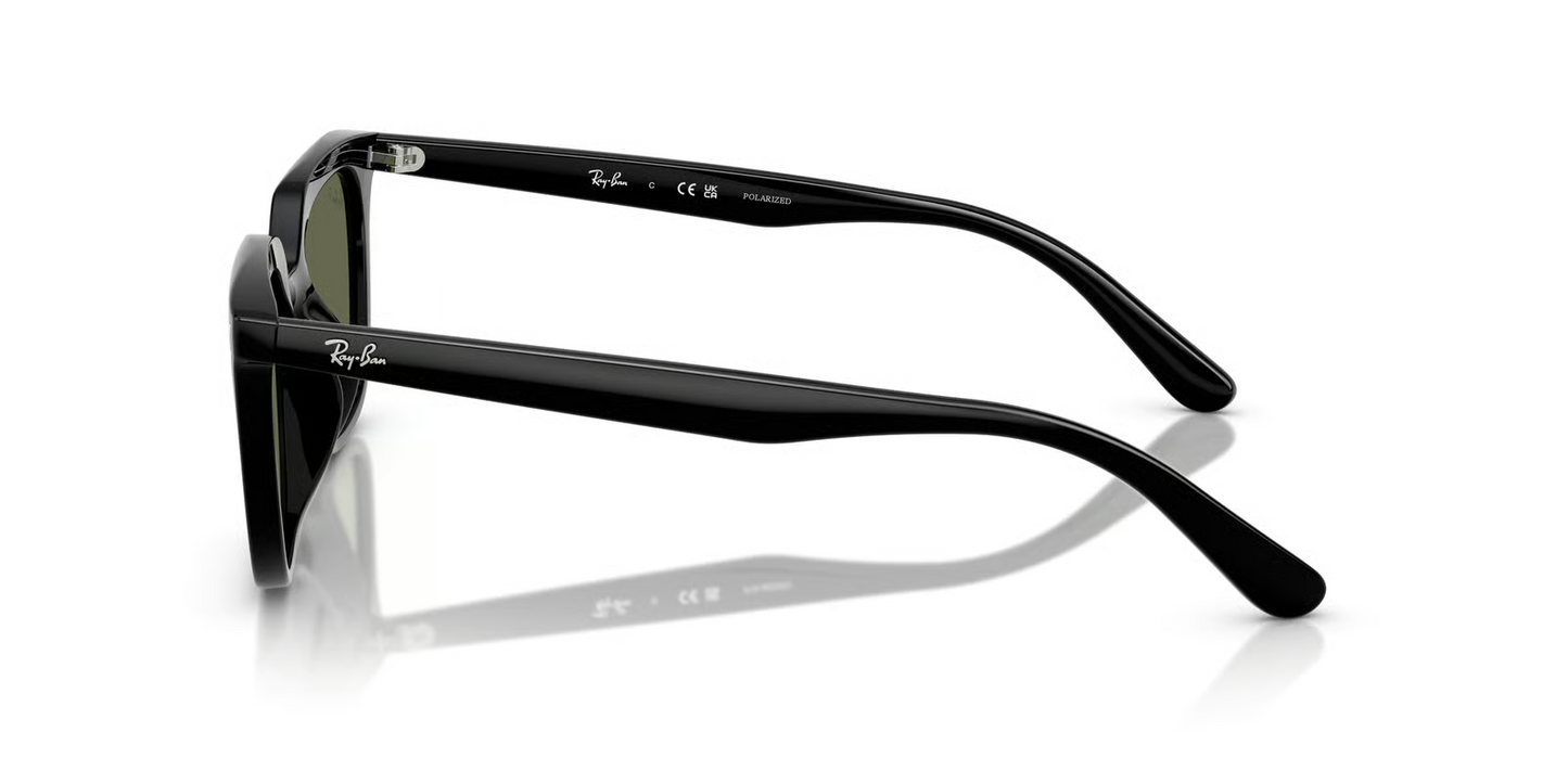 Ray-Ban RB4439D Sunglasses