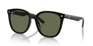 601/9A - Black with Polarized Dark Green Lenses