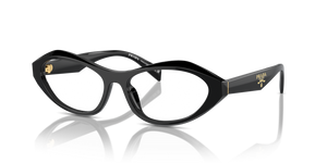 16K1O1 - Black with Clear Lenses