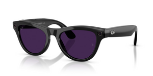 601/CH - Black with Clear/Amethyst Photochromic Lenses