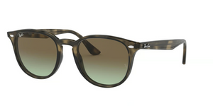 731/E8 - Grey Havana with Brown Gradient Lenses