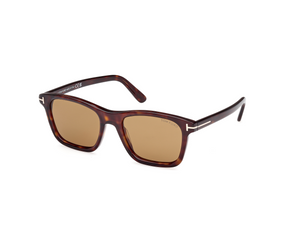 52E - Dark Havana with Brown Lenses