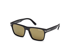 01H - Shiny Black with Polarized Brown Lenses