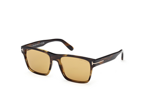 56E - Colored Havana with Brown Lenses
