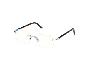016 - Shiny Palladium with Clear Lenses