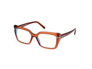 048 - Shiny Dark Brown with Clear Lenses