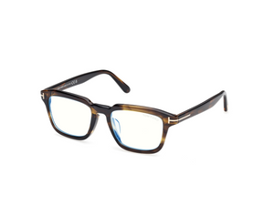 056 - Colored Havana with Clear Lenses