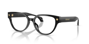 GB1 - Black with Clear Lenses