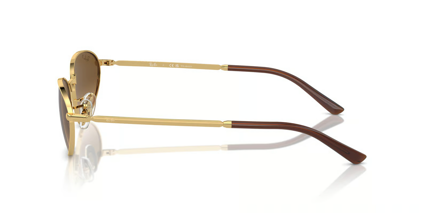 Ray-Ban RB3734 Sunglasses