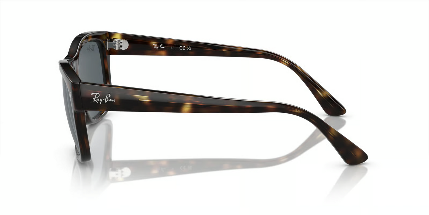 Ray-Ban RB4428 Sunglasses