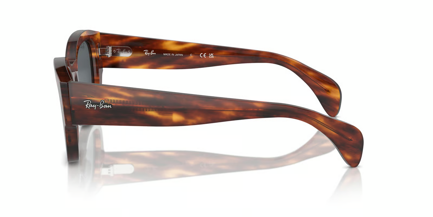 Ray-Ban RB7681S Jorge Sunglasses