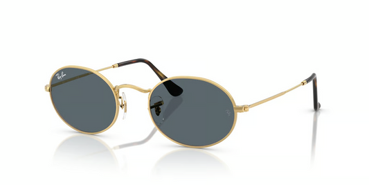 Ray-Ban RB3547N Oval Sunglasses