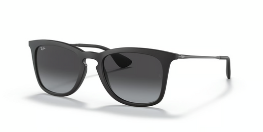 Ray-Ban RB4221 Sunglasses
