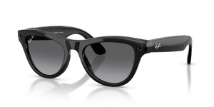 601/T3 - Black with Polarized Graphite Lenses