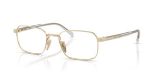 ZVN1O1 - Pale Gold with Clear Lenses