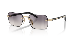 ZVN60W - Pale Gold with Blue Mirror Silver Lenses